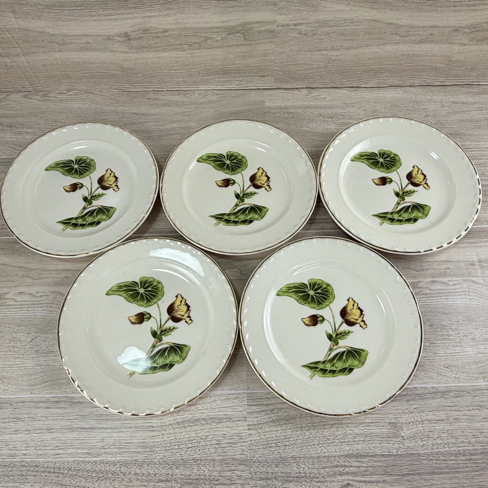 Crooksville La Grande Delmar Begonia 6" Plates Set of 5 Bread Butter Side USA